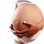 Pregnancy / Maternal Health